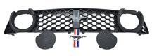 Mustang Boss 302 Front Grille Kit (13-14)