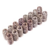 Mustang Ford Racing Boss 302R Valve Springs (11-14)
