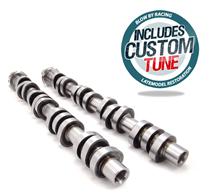 Mustang Ford Racing Hot Rod Cams w/ Blow-By Racing Custom N/A Tune (05-10) 4.6L 3V